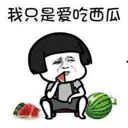 免费吃娱乐圈的瓜,免费吃尽明星瓜果盛宴  第2张