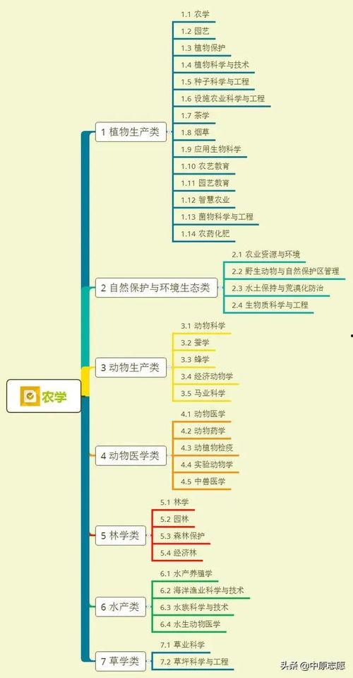 国安厨师爆料视频大全集,视频大全集背后的真实故事  第2张