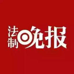 大渡口最新爆料新闻头条,最新爆料揭示惊人真相  第3张