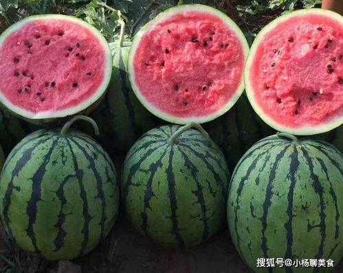 最新吃瓜免费网站,最新免费吃瓜网站，海量资讯一网打尽！