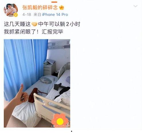 张凯毅男友爆料视频大全,揭秘背后真相与情感纠葛