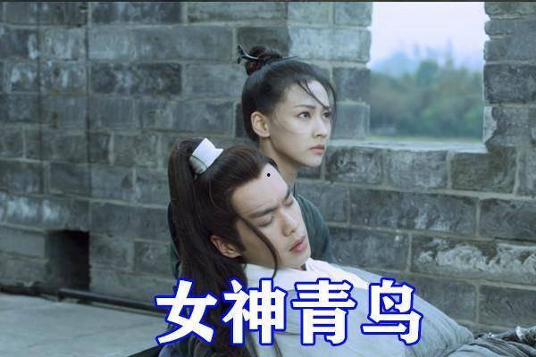 白狐晓凤老公爆料视频播放,揭秘背后惊人真相