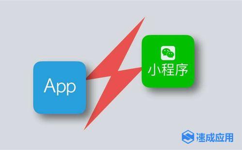 爆料大视频小程序,带你领略全新互动体验