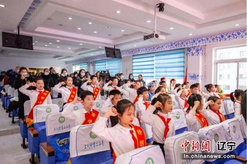 沈阳小学爆料事件最新,揭开校园安全与管理的隐秘面纱  第3张