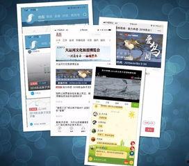 江苏卫视荔枝新闻爆料,揭秘某事件背后真相 第3张 江苏卫视荔枝新闻爆料,揭秘某事件背后真相 第3张