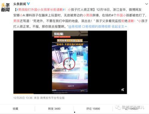 番禺爆料网红事件视频,揭秘背后真相与争议  第2张