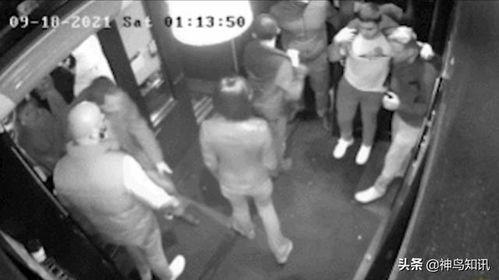怎么爆料偷盗视频的人员,勇敢者如何揭露不法之徒的罪行