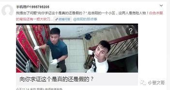 怎么爆料偷盗视频的人员,勇敢者如何揭露不法之徒的罪行  第3张