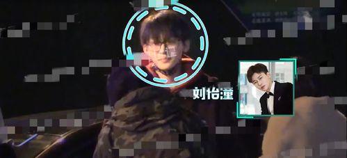 刘奕君娱乐爆料,娱乐圈幕后真相大揭秘  第3张