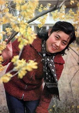 倪萍爆料趣事视频大全集,揭秘娱乐圈趣味瞬间，笑料连连视频大全集  第2张