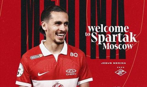 荷兰队长爆料了吗视频在线观看,揭秘足球场上的幕后故事  第2张