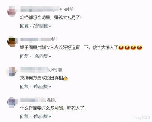 2021娱乐圈大爆料,揭秘年度大爆料  第2张