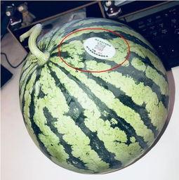 2022网红吃瓜,盘点年度热门事件与幕后真相  第2张