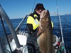 bigfish在线观看,尽享在线游戏盛宴  第3张