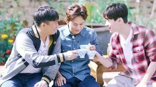 娱乐吃瓜酱刘宪华,娱乐吃瓜界的“瓜王”传奇  第3张