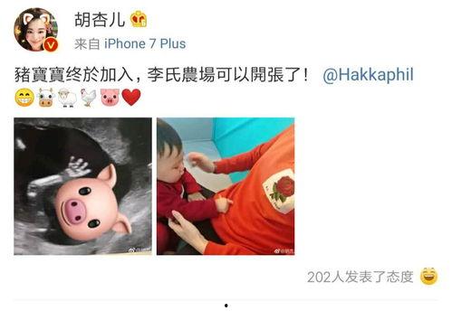 爆料自己怀二胎视频大全,二胎惊喜揭晓！明星辣妈怀二胎视频大盘点