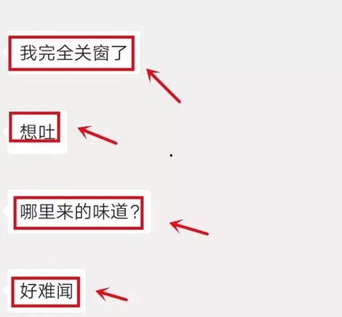 金沙洲新闻爆料,揭秘神秘事件背后真相