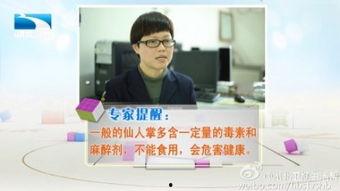 体湖北卫视直播在线观看,实时在线观看精彩瞬间  第2张