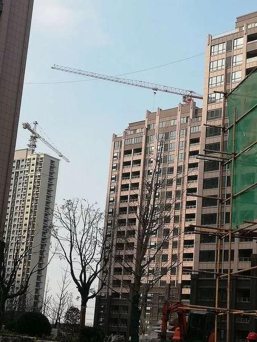 小区内噪音新闻爆料,居民生活品质亟待改善