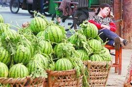 城固吃瓜最新事件爆料新闻,揭秘背后惊人真相，网络热议持续升温  第2张