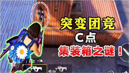 大白哥哥和平精英爆料最新,平精英全新内容大揭秘！  第3张