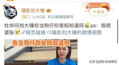 刘大锤爆料视频最新一期,揭秘一期视频背后的惊人真相 第3张 刘大锤爆料视频最新一期,揭秘一期视频背后的惊人真相 第3张