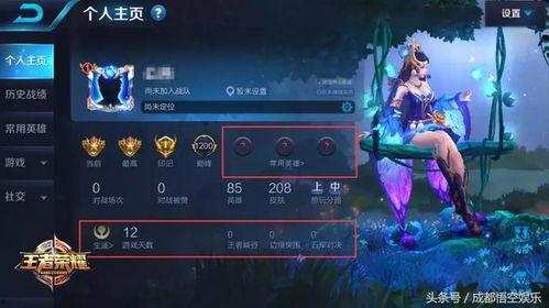 王者爆料被骂视频素材无水印,无水印素材引发网友热议  第3张