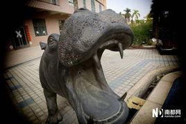 深圳龙哥最新爆料,最新爆料背后的惊人真相  第3张