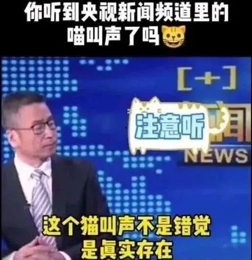 央视一线栏目爆料新闻内容,一线栏目爆出惊人新闻，真相令人震惊！