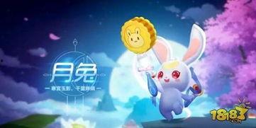 宠物婵娟爆料视频,揭秘宠物界幕后故事