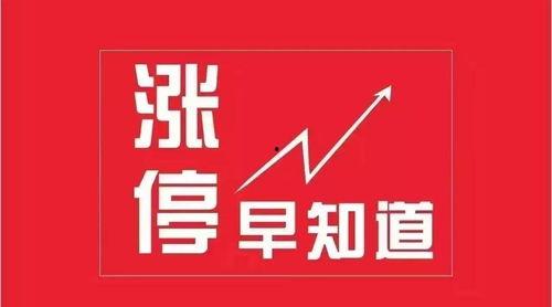 网易5月份爆料新闻,5月热点新闻事件深度解析  第2张