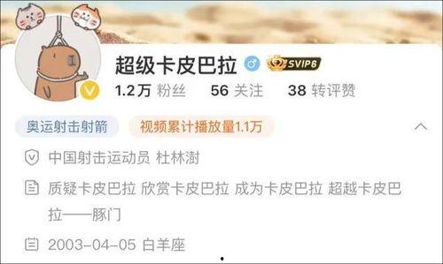 卡哥最新爆料视频大全集,揭秘幕后真相，带你领略风云变幻  第2张