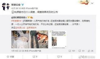 最新网友爆料新闻,神秘事件背后真相揭晓！