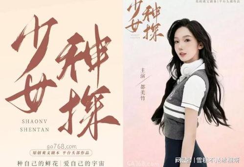 网红李恩爆料视频大全集,揭秘幕后真相与精彩瞬间