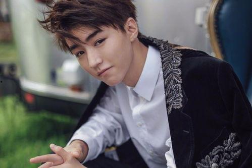 狗仔直播爆料王俊凯视频,狗仔直播独家揭秘  第2张