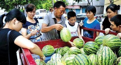 康县网红吃瓜二拼,康县美食新风尚  第3张