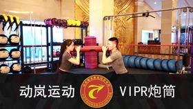 体能教练爆料视频播放,健身视频背后的真实训练秘诀  第2张