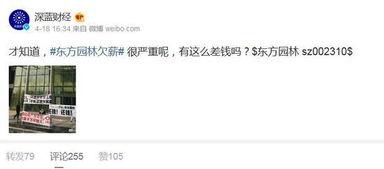 如何爆料欠薪视频大全下载 第2张 如何爆料欠薪视频大全下载 第2张
