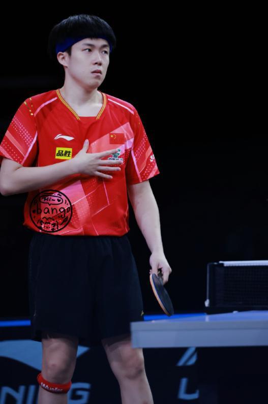 圈内爆料王楚钦,圈内爆料背后的乒乓球巨星