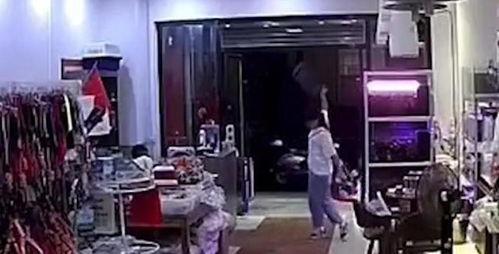 宠物店爆料视频,揭秘爆料视频背后的真相  第2张