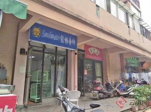 宠物店爆料视频,揭秘爆料视频背后的真相  第3张