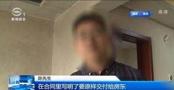 深圳陈先生爆料新闻视频