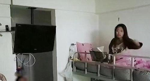 女生宿舍在线完整观看,揭秘青春岁月里的秘密花园