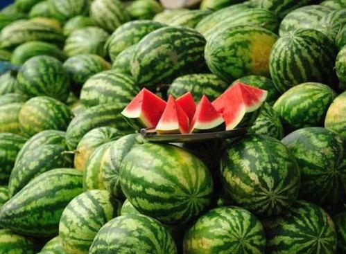 滨江网红吃瓜事件真相揭秘,揭秘背后真相与争议  第2张