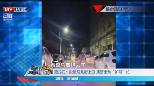 五常街道爆料视频最新,揭秘社区生活新动态