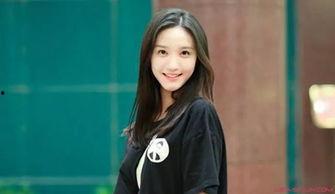 明星高铁爆料视频大全集,揭秘明星高铁爆料视频大全集  第3张