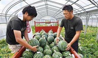 吃瓜在线观看免费国产,吃瓜在线观影盛宴 第2张 吃瓜在线观看免费国产,吃瓜在线观影盛宴 第2张