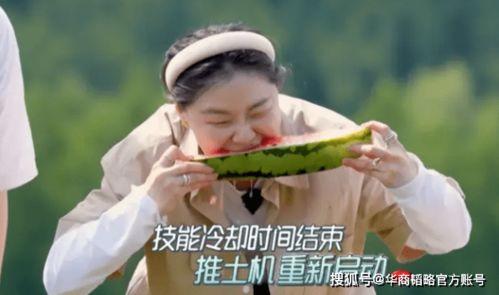 吃瓜在线观看免费国产,吃瓜在线观影盛宴 第3张 吃瓜在线观看免费国产,吃瓜在线观影盛宴 第3张