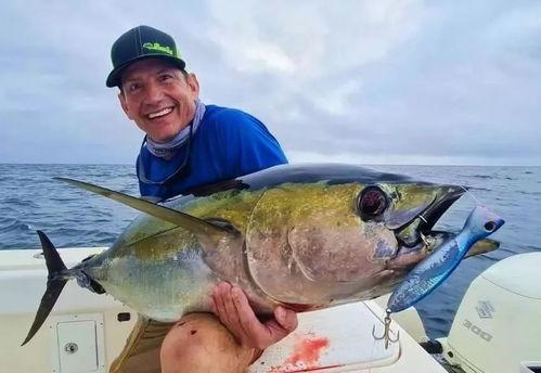 胖头鱼被爆料视频播放,揭秘网络爆红背后的秘密  第2张