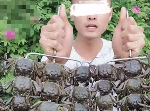 荷兰网红吃瓜事件真相视频  第3张